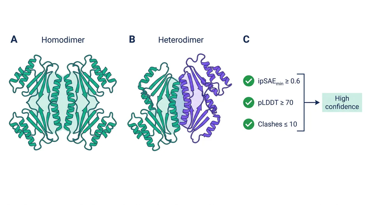 Three-panel figure showing a homodimer, a heterodimer and the three filters for high-confidence complexes