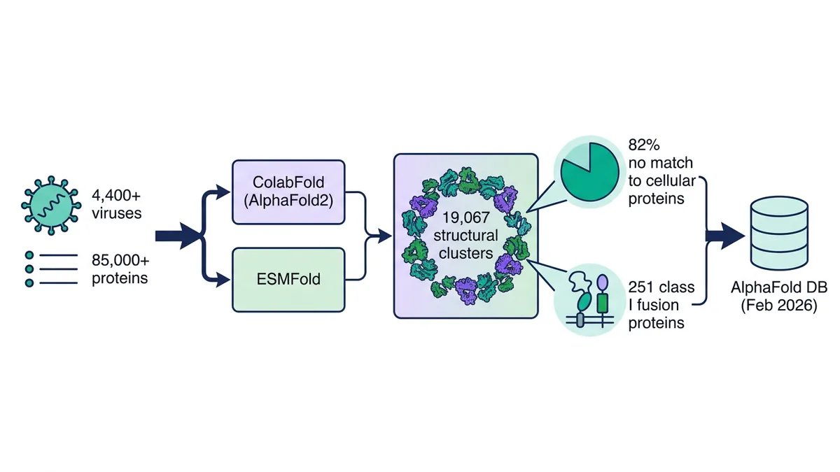 Viro3D workflow: 4,400+ viruses and 85,000+ proteins predicted with ColabFold and ESMFold, grouped into 19,067 structural clusters