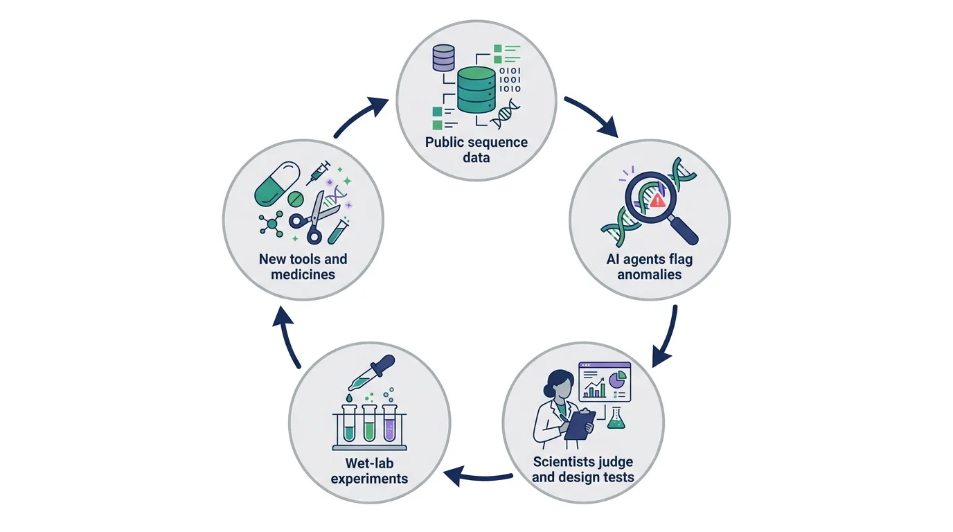 Discovery loop from public sequence data to AI agents flagging anomalies, scientists designing tests, wet-lab experiments and new tools and medicines