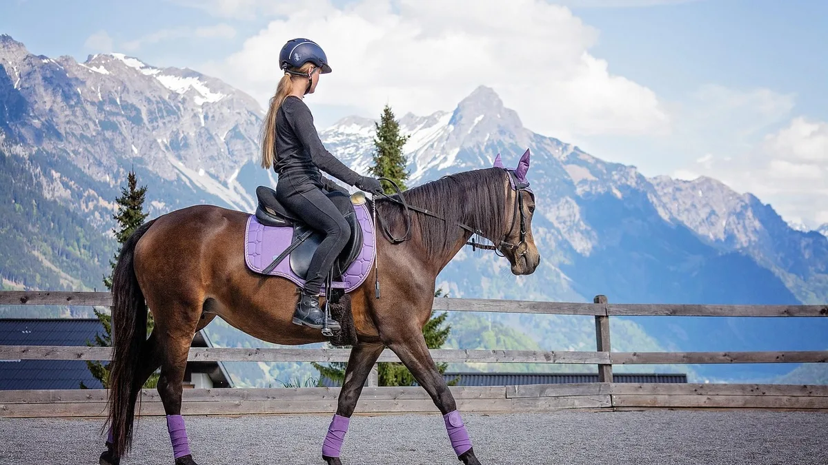 Horse, girl, riding lessons - equine anesthesia