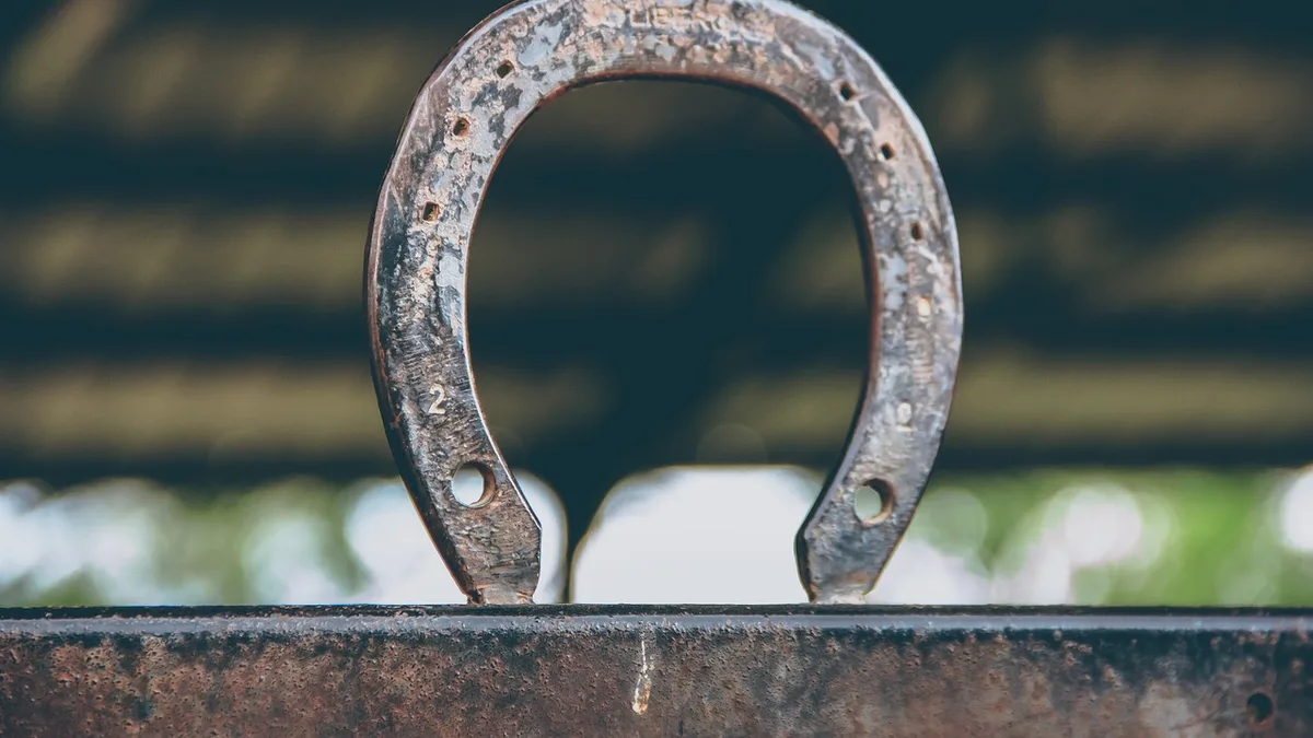 Horseshoe, hoof, magnet - equine anesthetic recovery