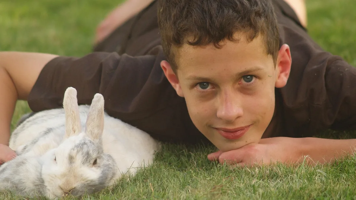Pets, rabbits, rabbit - anesthetic complications in rabbits