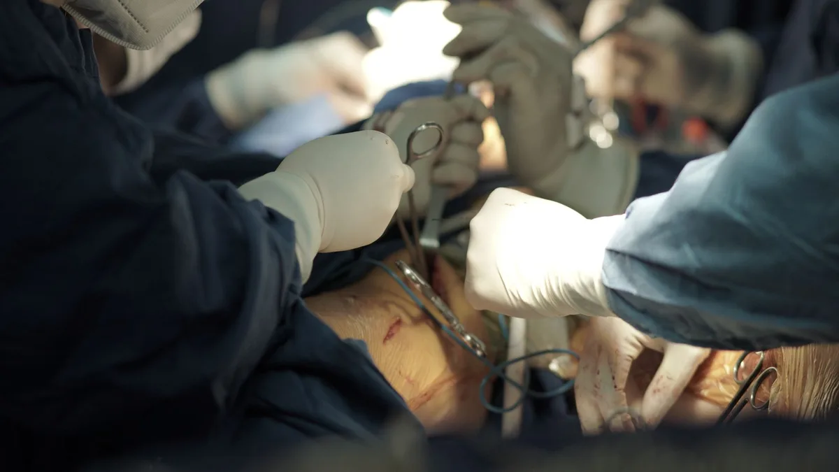 Team of surgeons executing a delicate surgical procedure in an operating room - epidural anesthesia in dogs and cats
