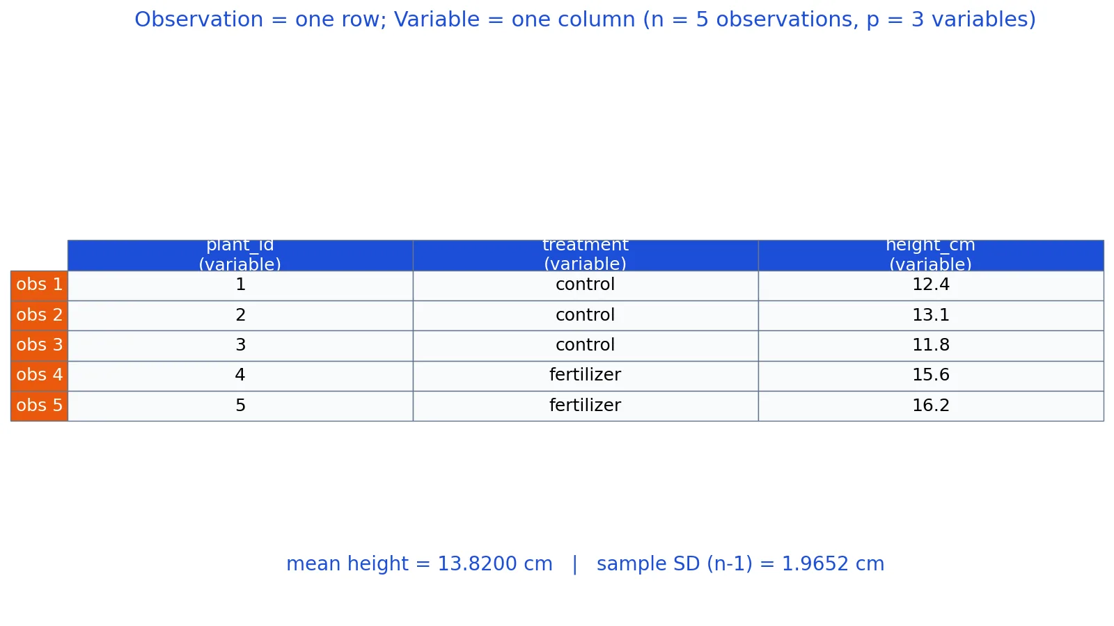 Observation Definition in Statistics: What Counts as Data