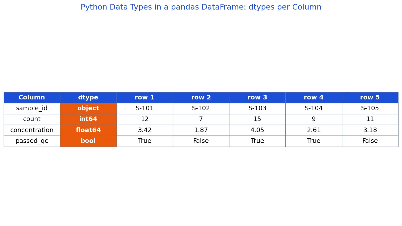 Python Data Types: Definition, Examples and How to Check Them