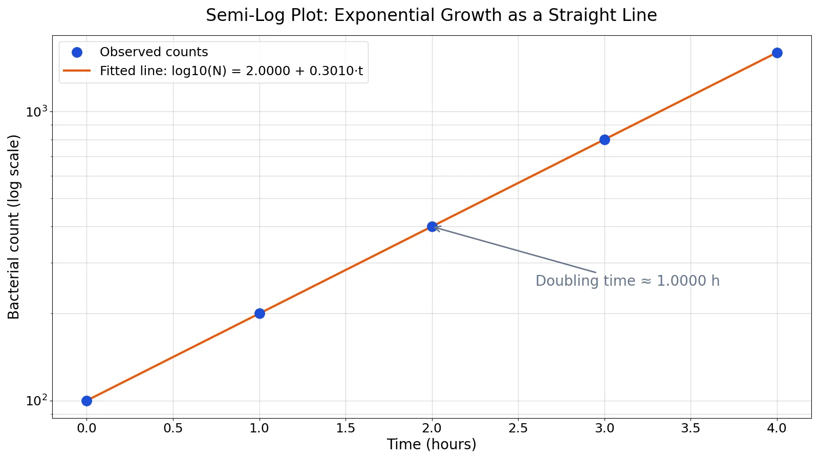 Semi-Log Plot: Definition, When to Use It and Examples