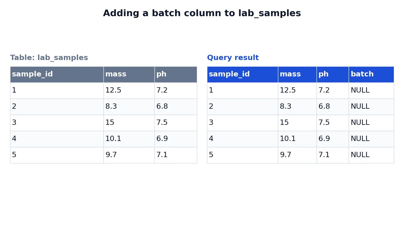 SQL ALTER TABLE ADD COLUMN: Syntax and Examples