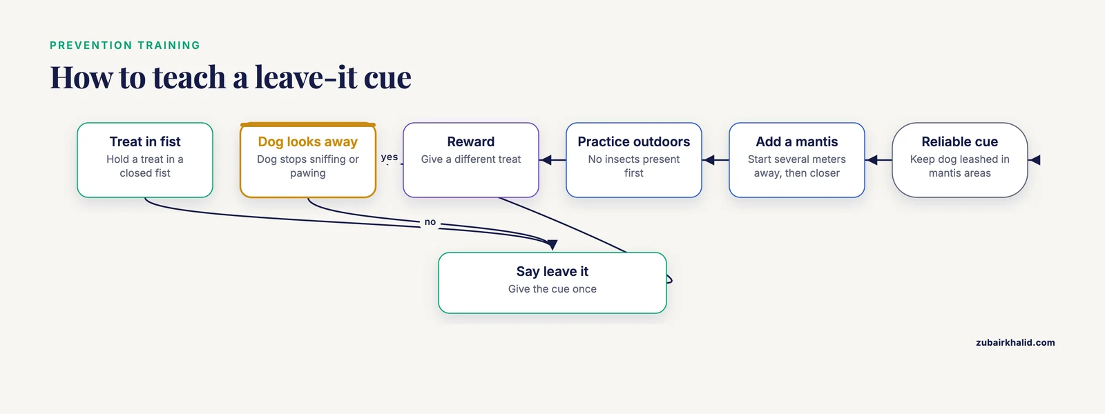 Flowchart of leave-it training steps, from a treat in a closed fist to practice with a mantis at a distance.