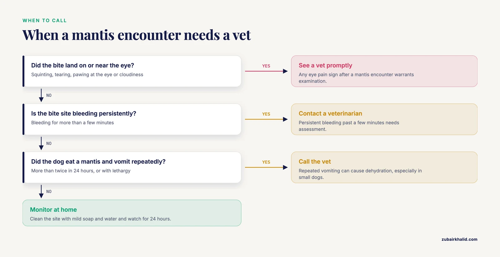 Decision path from a mantis encounter through eye signs, bleeding and vomiting to a vet visit or home monitoring.