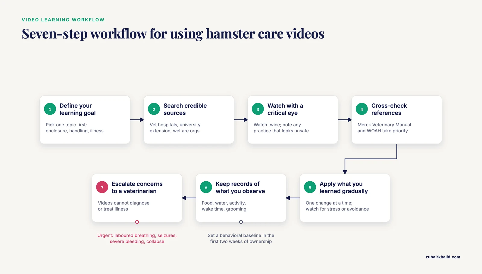 A snake-flow diagram of the article's seven-step workflow for using hamster care videos, from defining a goal to escalating to a vet, with source notes.