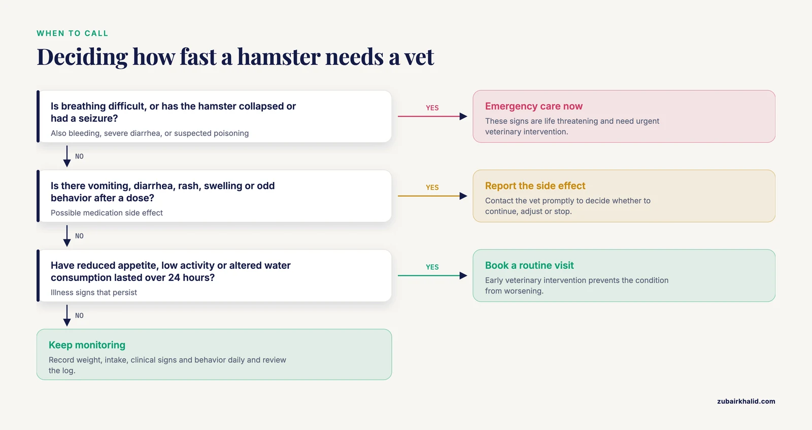 Decision path sorting hamster signs into emergency care, routine vet visit within 24 hours, or continued monitoring at home.