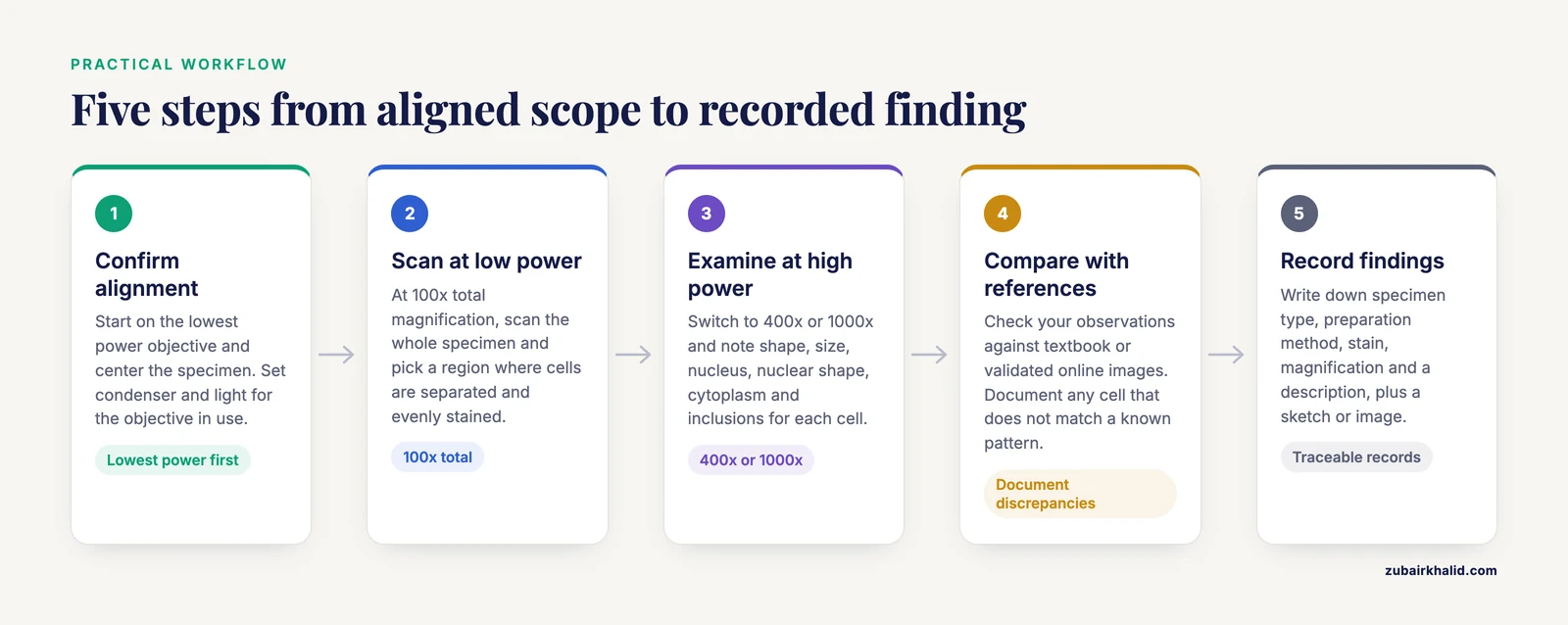 Five-step flow for identifying cells: align the microscope, scan at low power, examine at high power, compare with references, record findings.