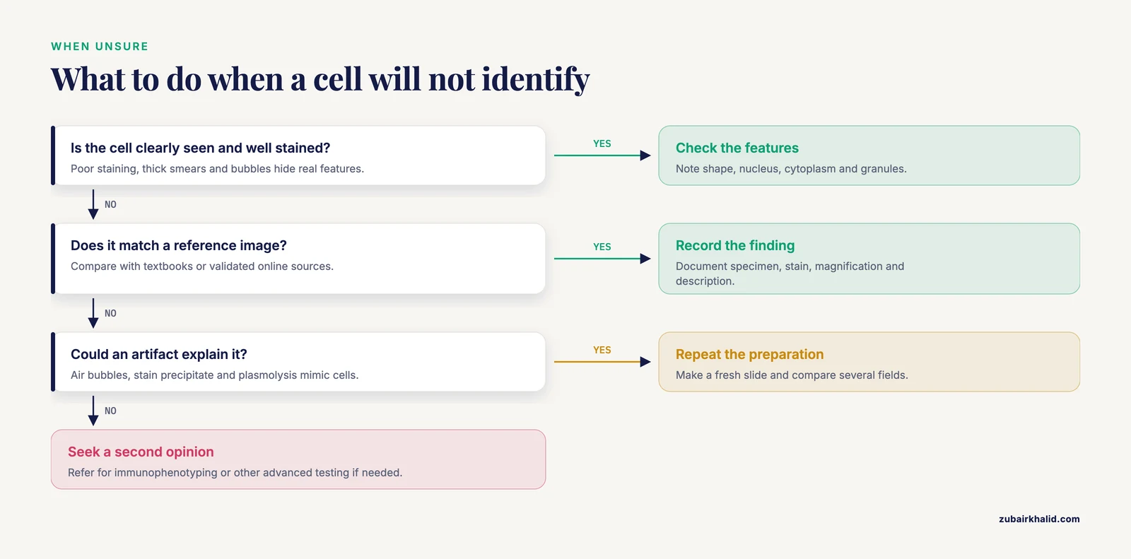 Decision path for an unclear cell: check preparation and artifacts, compare references, then seek a second opinion or advanced testing.