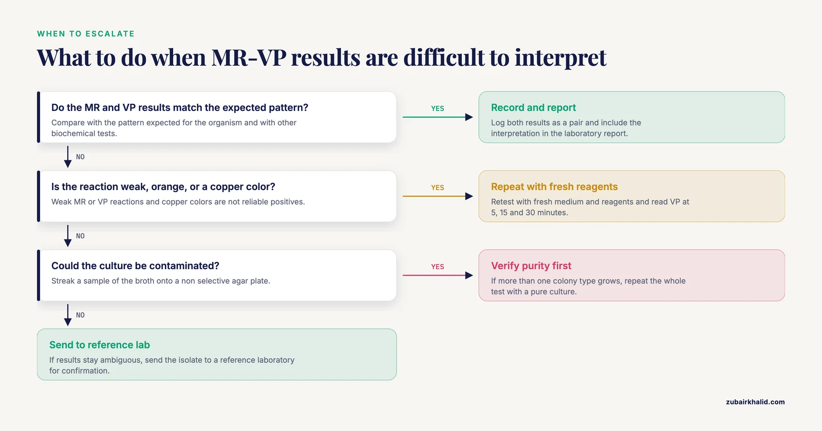 Decision path from reading MR and VP results through repeat testing, purity checks and escalation to a supervisor or reference laboratory.