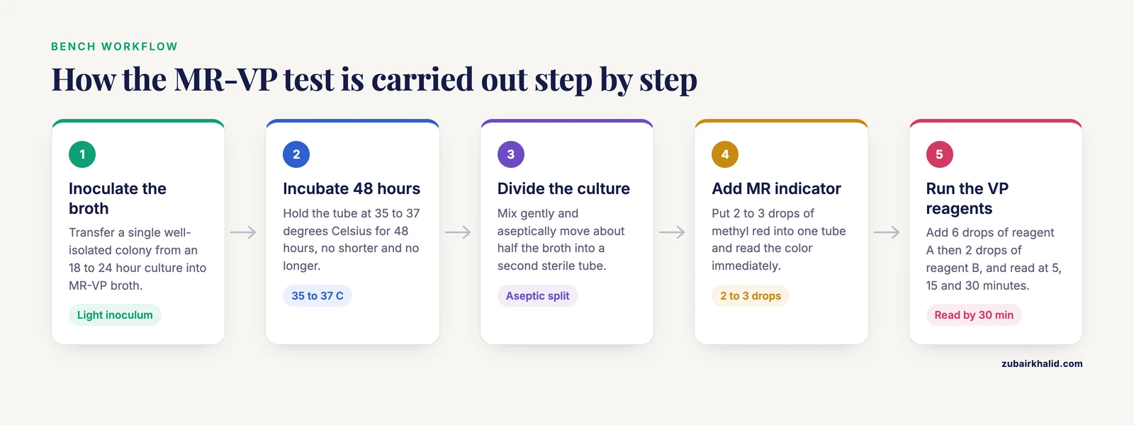 Five-step flow of the MR-VP protocol from colony inoculation through 48 hour incubation, broth division, reagent addition and reading results.