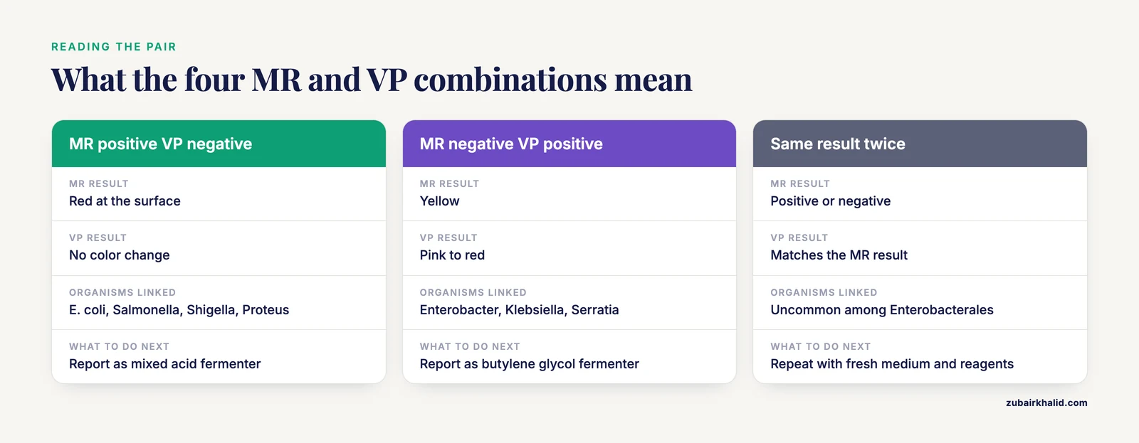 Comparison of the four MR-VP result patterns with the organism groups linked to each and the recommended next step.