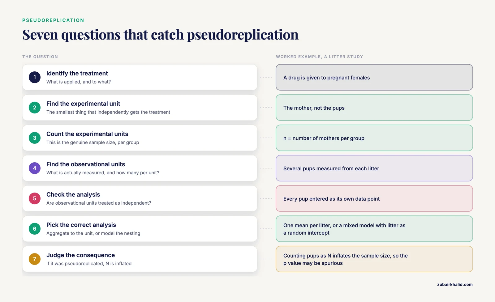 Seven-step check for pseudoreplication in an experimental design, worked through a litter study where the mother is the experimental unit