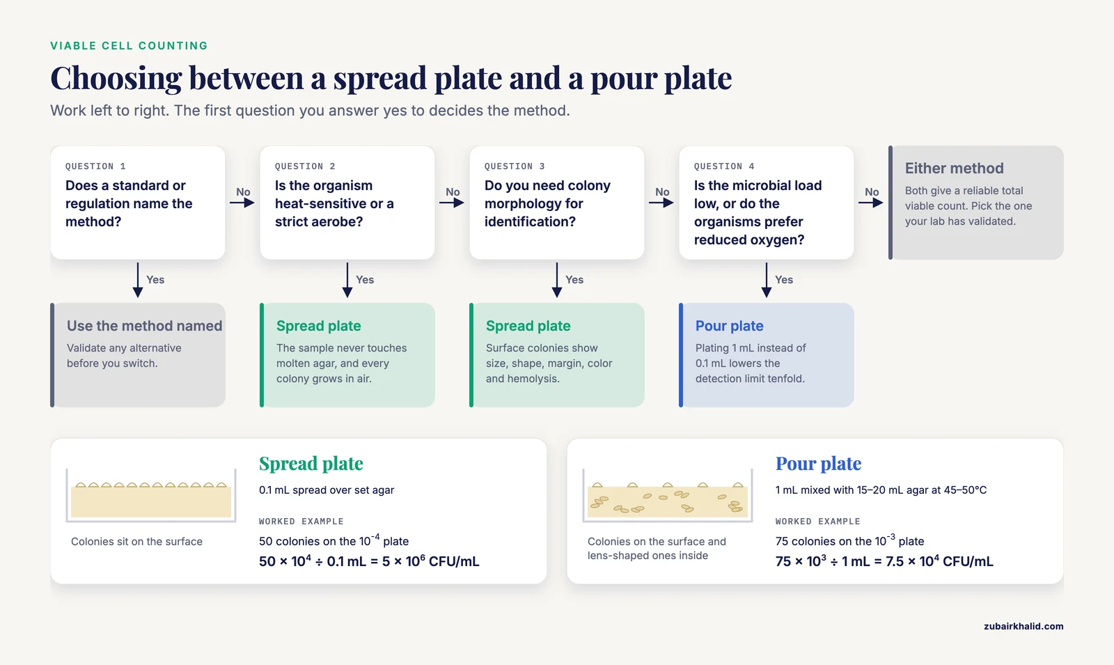 Decision path for spread plate vs pour plate counting: four questions on regulation, heat sensitivity, morphology and microbial load