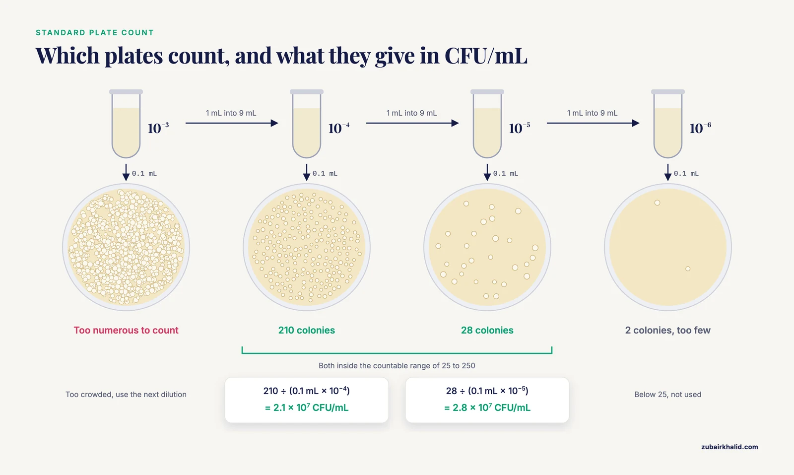 Standard plate count from a ten-fold dilution series: plates from 10^-3 to 10^-6 give TNC, 210, 28 and 2 colonies, with CFU/mL worked out