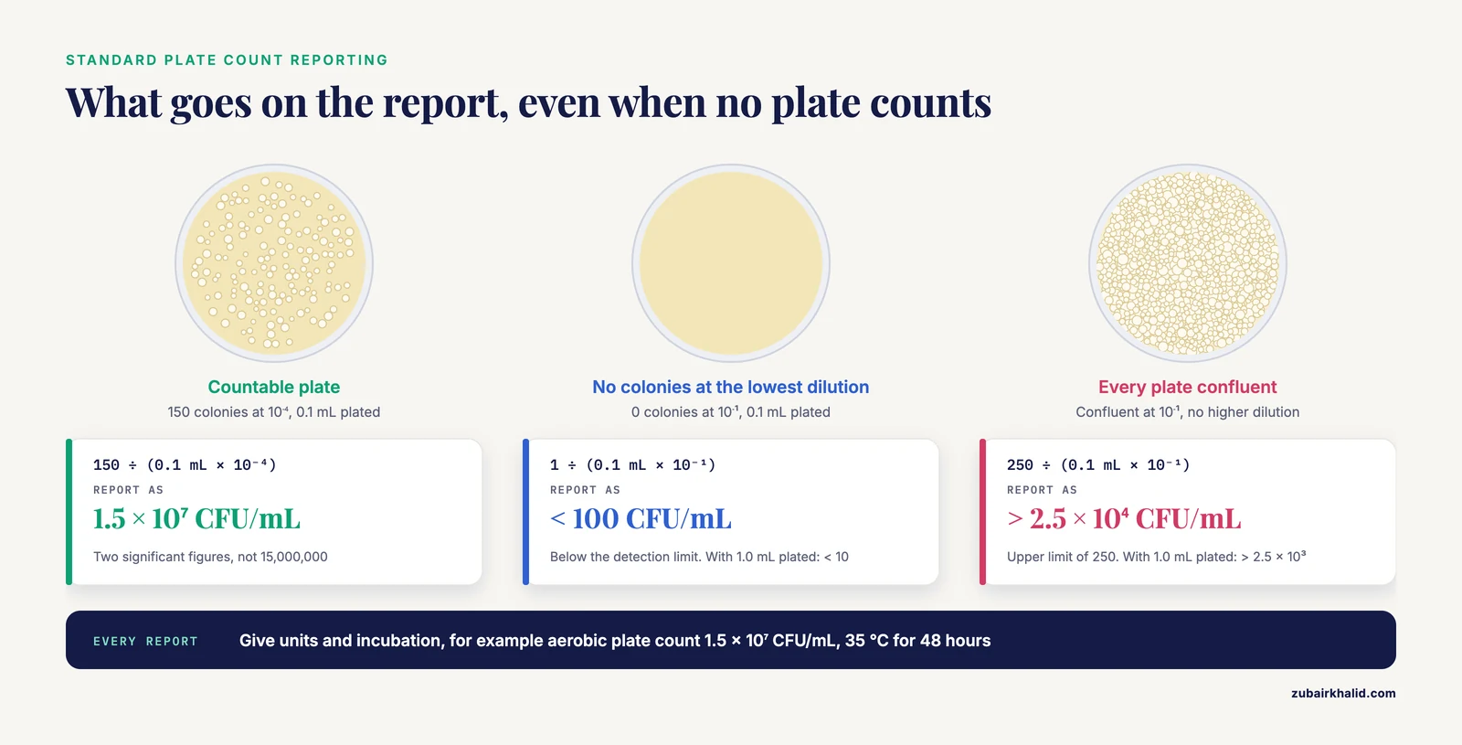 Reporting a standard plate count: a countable plate to two significant figures, an empty plate as below 100 CFU/mL, a confluent one as above