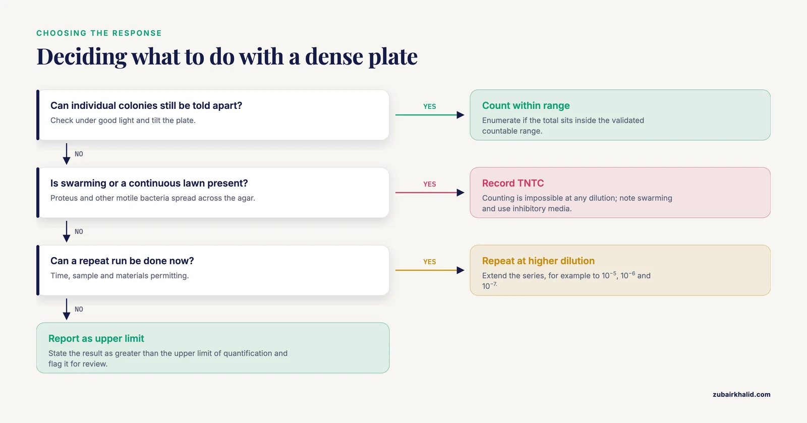 Decision path from checking whether a plate is TNTC to a repeat with higher dilution or a reported upper limit.