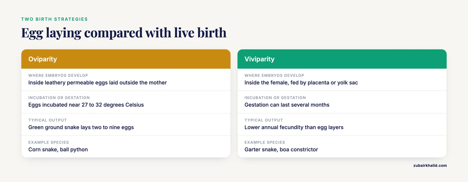 Table comparing oviparity and viviparity on development site, incubation, fecundity and example species