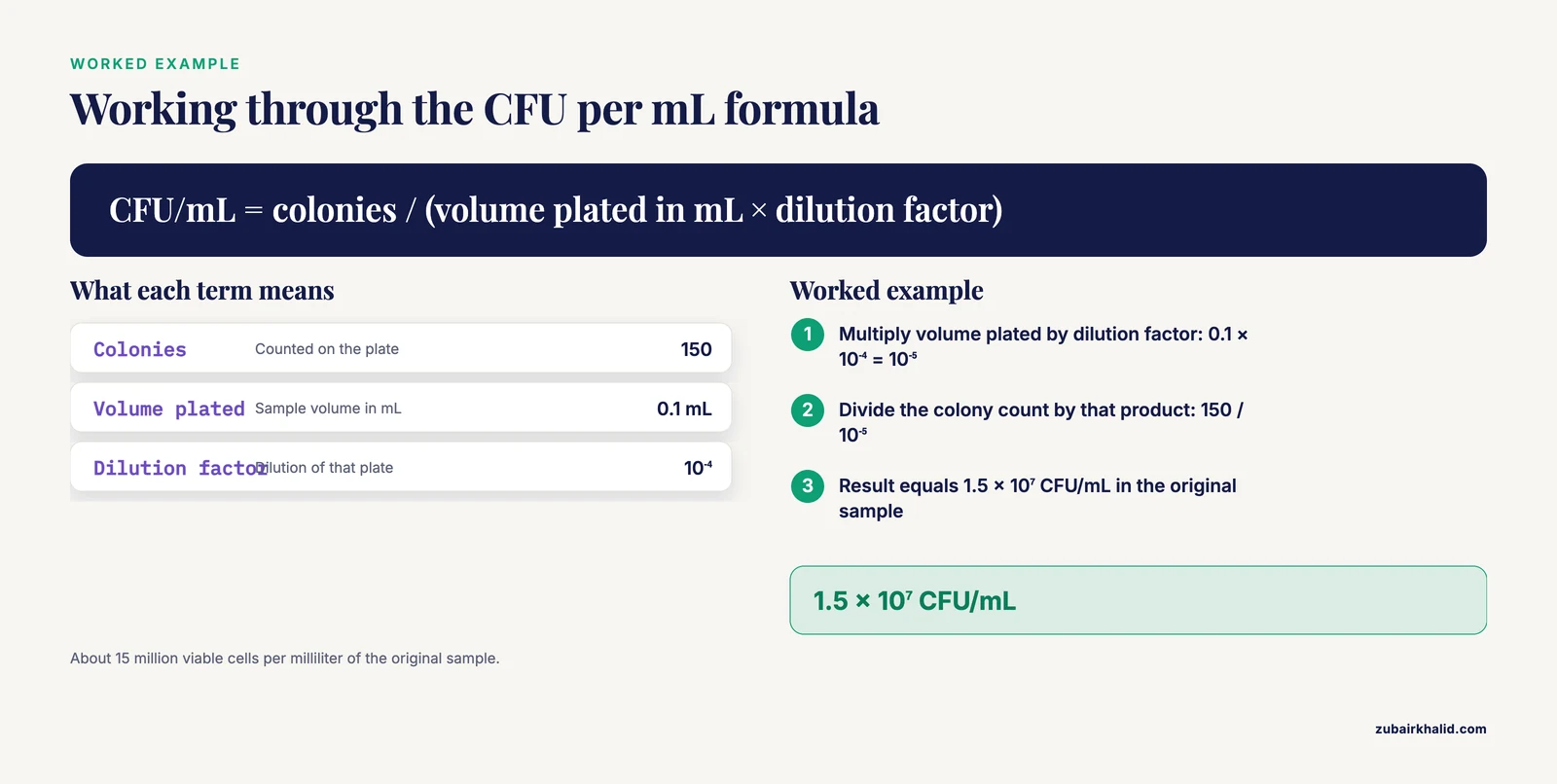 Three calculation steps turning 150 colonies on a 0.1 mL plate at 10 to the minus 4 dilution into 1.5 times 10 to the 7 CFU per mL.