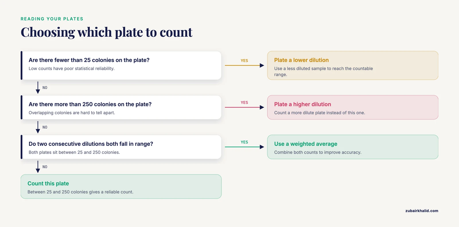 Decision path for picking a countable plate: under 25 colonies, 25 to 250 colonies, or over 250 colonies, with the action for each.