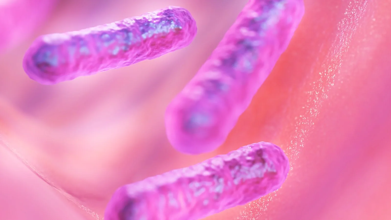 Binary Fission: Steps and Bacterial Growth