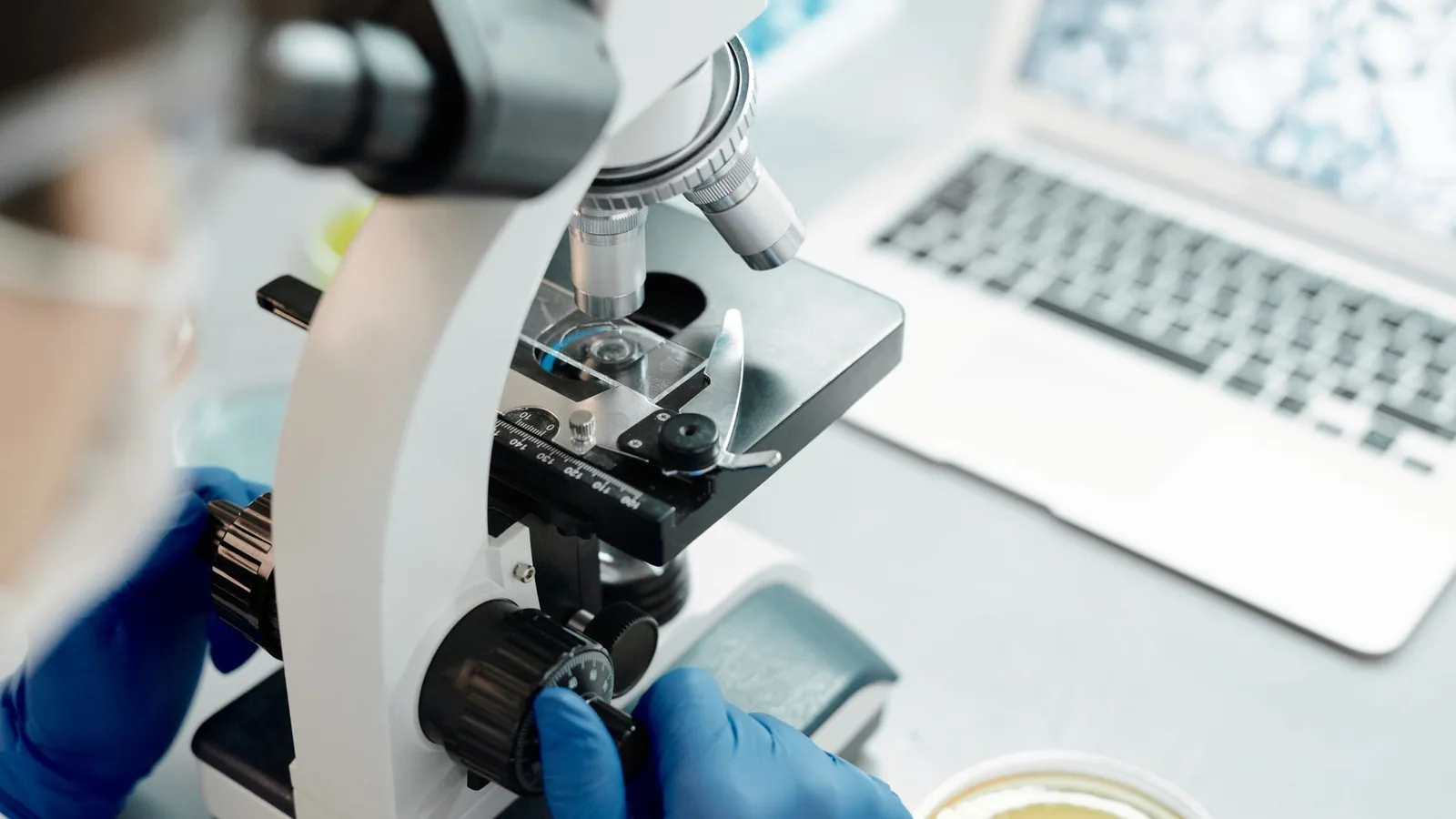 CLSM Microscopy: Confocal Laser Scanning Basics