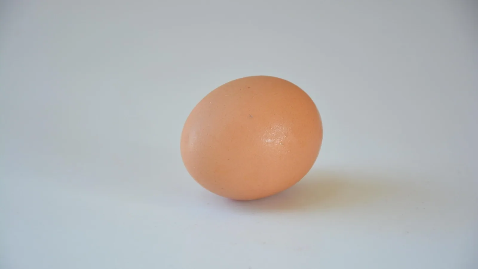 Araucana Hen Eggs: Blue Egg Genetics and Care