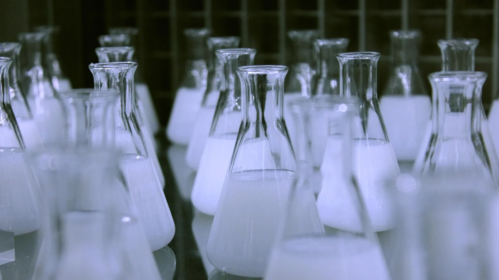 Molarity Formulas: Molarity vs Molality Guide