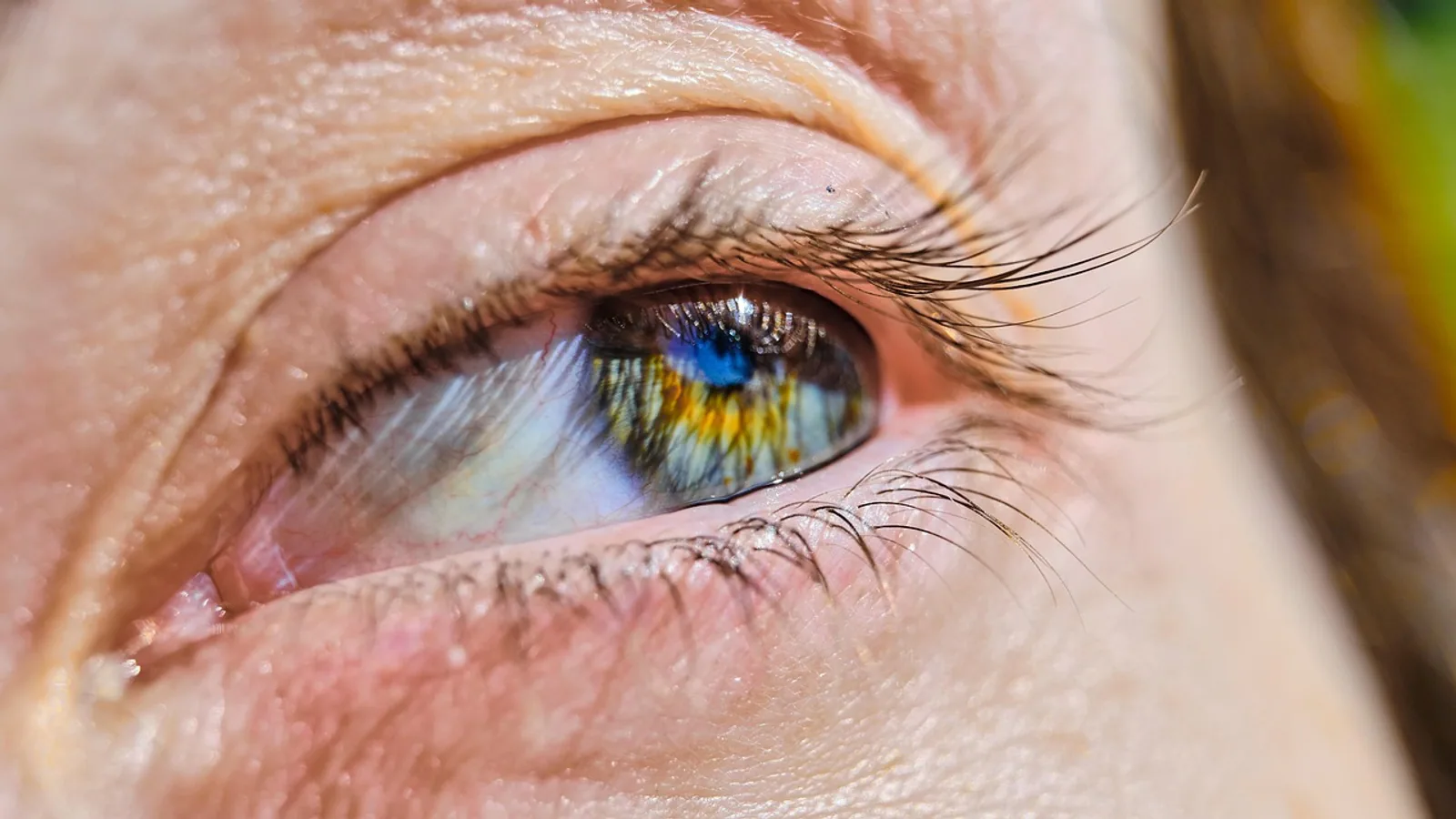 Central Fovea (Fovea Centralis): Structure and Function
