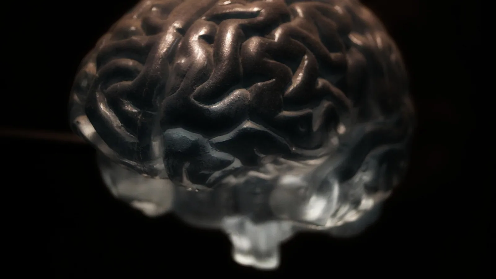 Corticospinal Tract: Pathway and Function Guide