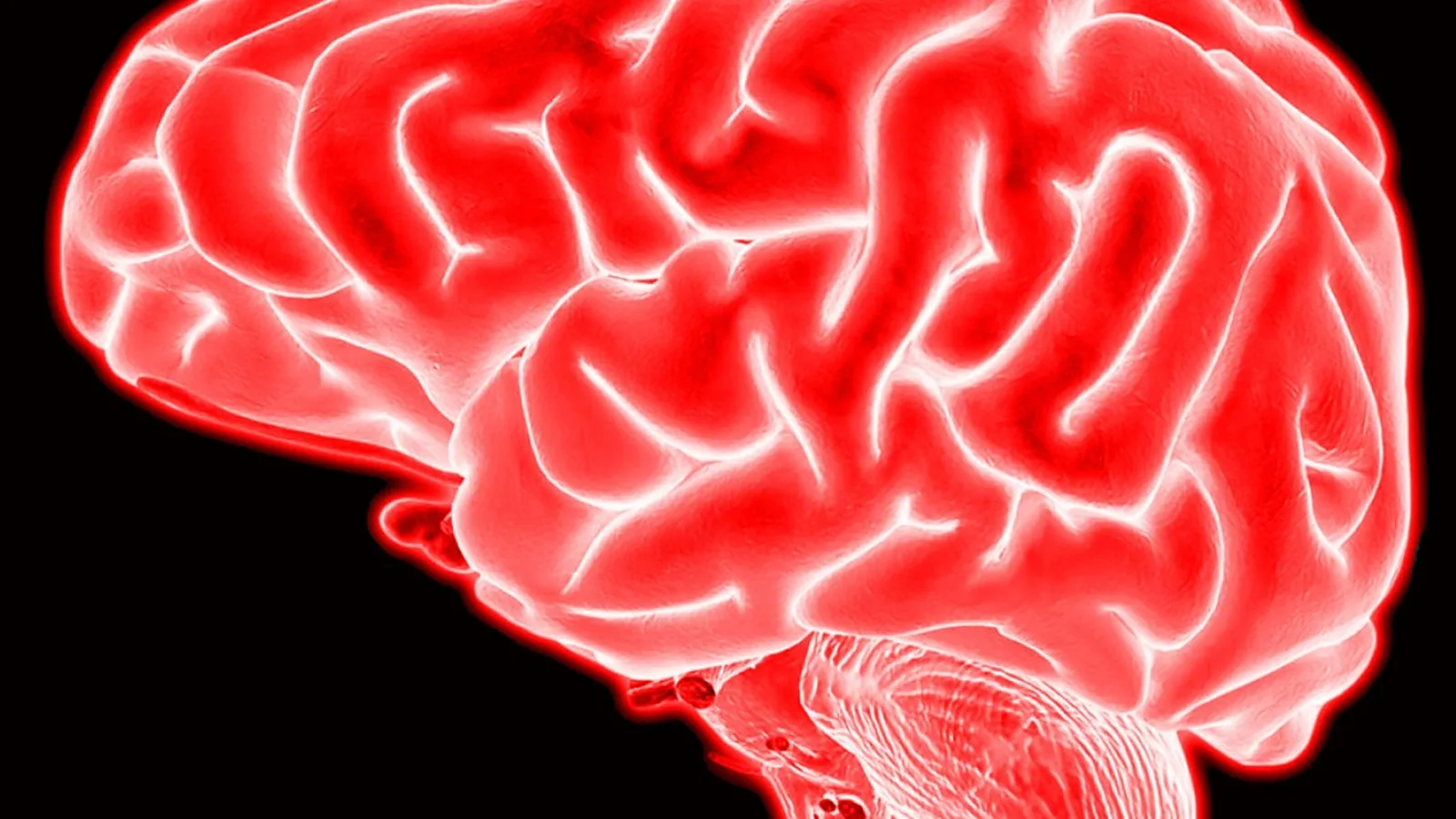 Cerebral Peduncles: Brain Anatomy Explained