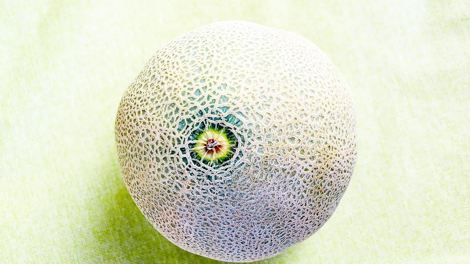 Is Cantaloupe Good for Dogs? Safe Serving Guide