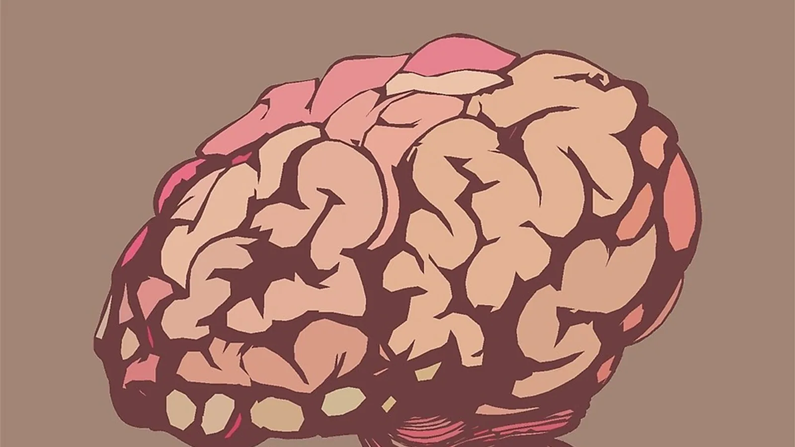Hippocampus Function: Memory and Spatial Navigation