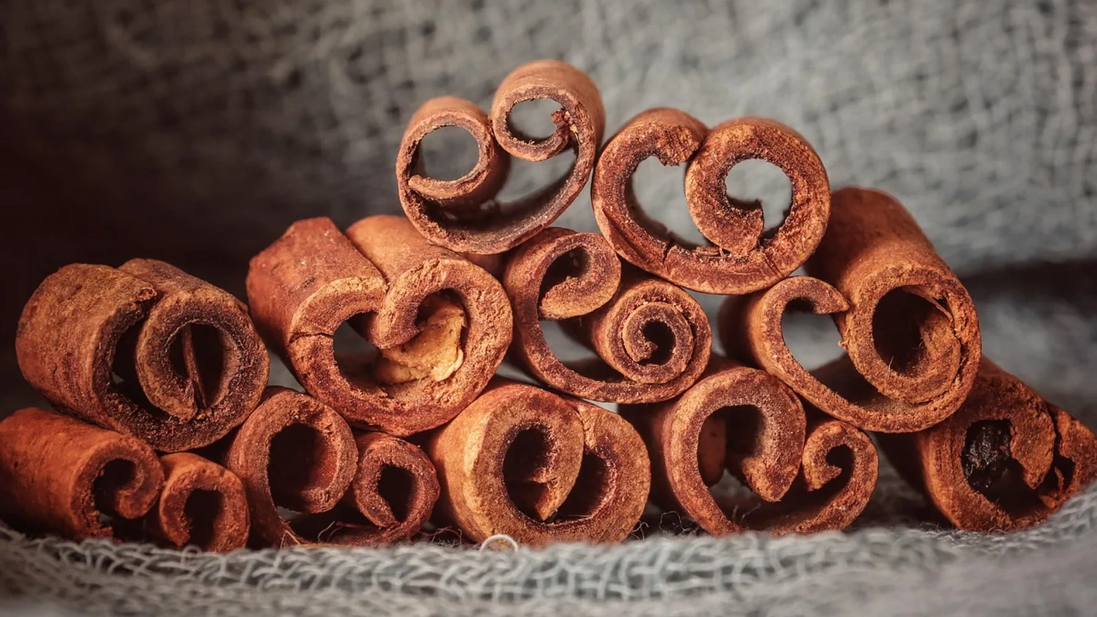 Is Cinnamon Bad for Dogs? Safe Amounts