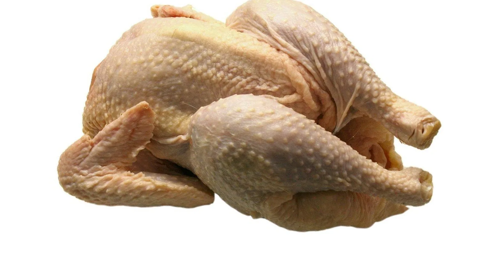 Chicken Ascites: Water Belly Causes and Care