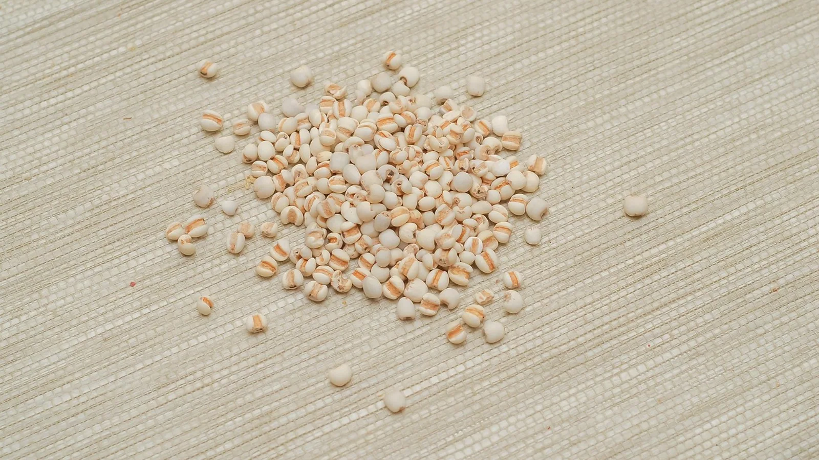 Yunnan Baiyao: Uses, Evidence, and Veterinary Safety