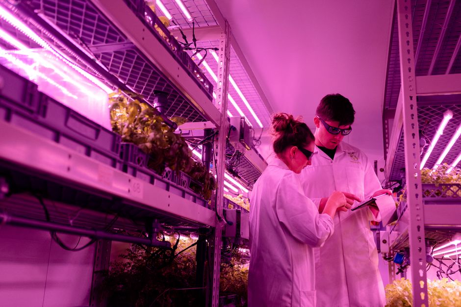 Career Paths in Agriculture: From Entry-Level to Executive