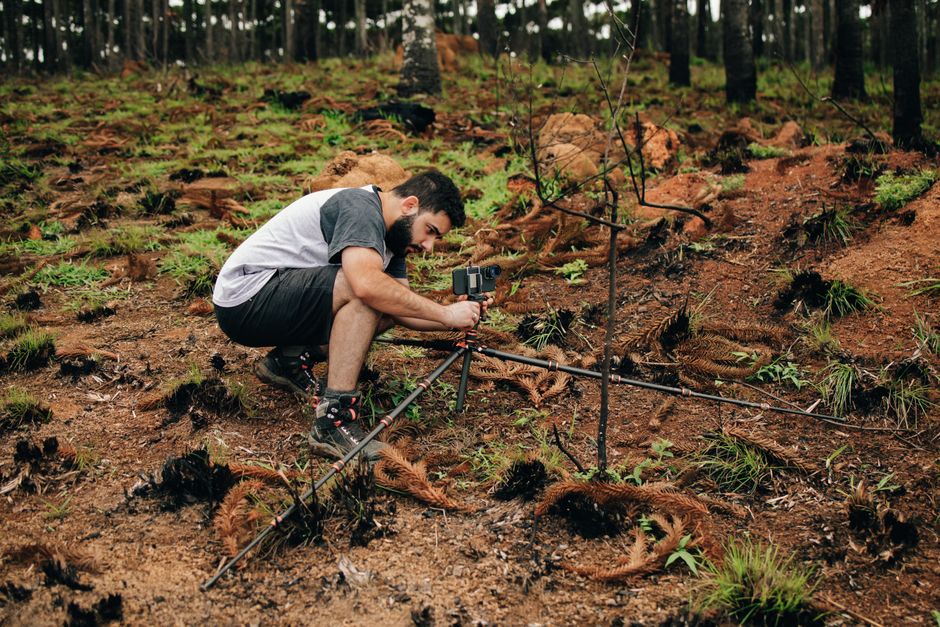 Environmental Science vs Environmental Studies: Choosing Your Path