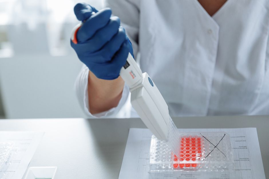 DNA Polymerase I vs III: Functional Roles in Prokaryotic Replication