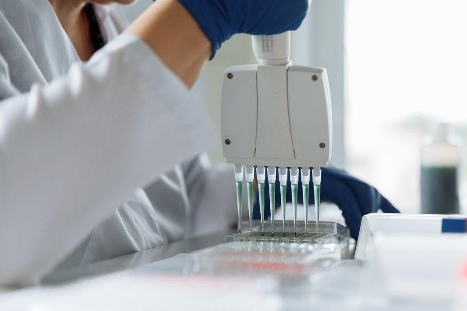 Nested PCR: Enhancing Sensitivity and Specificity
