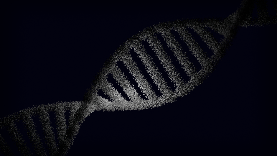 Pattern Sequencing in Diagnostics: Recognizing and Interpreting Sequence Patterns