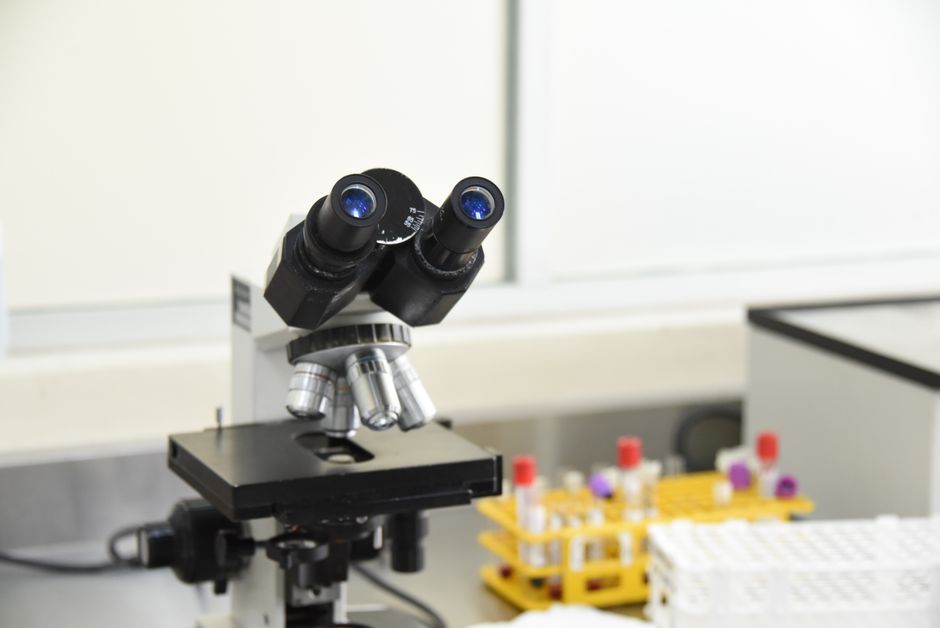 Digital Pathology Guidelines: A Reference for Implementation