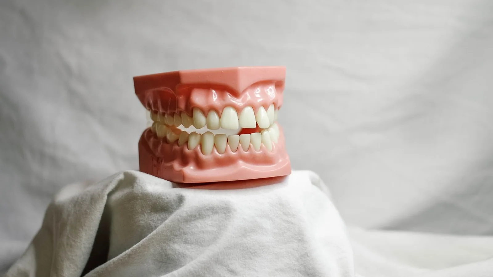 Primary Dentition: Deciduous Teeth Explained