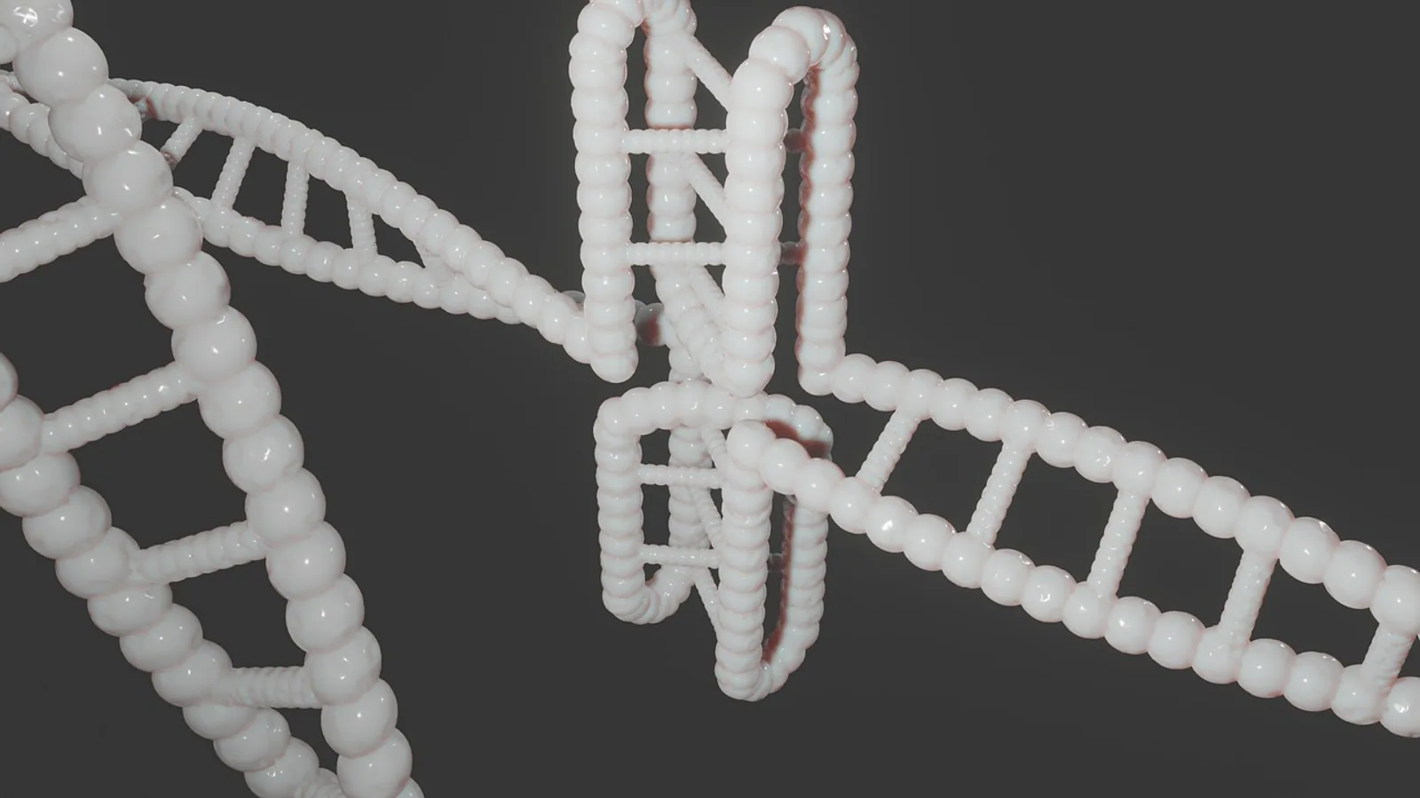 Base Pair in DNA: Rules, Types and Examples