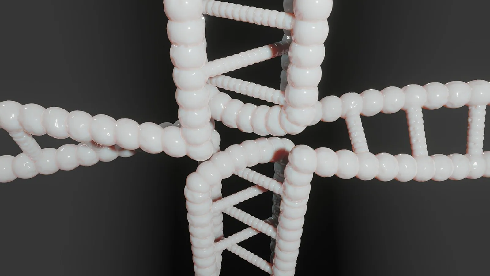 Chargaff's Rule: Base Pairing Explained with Examples