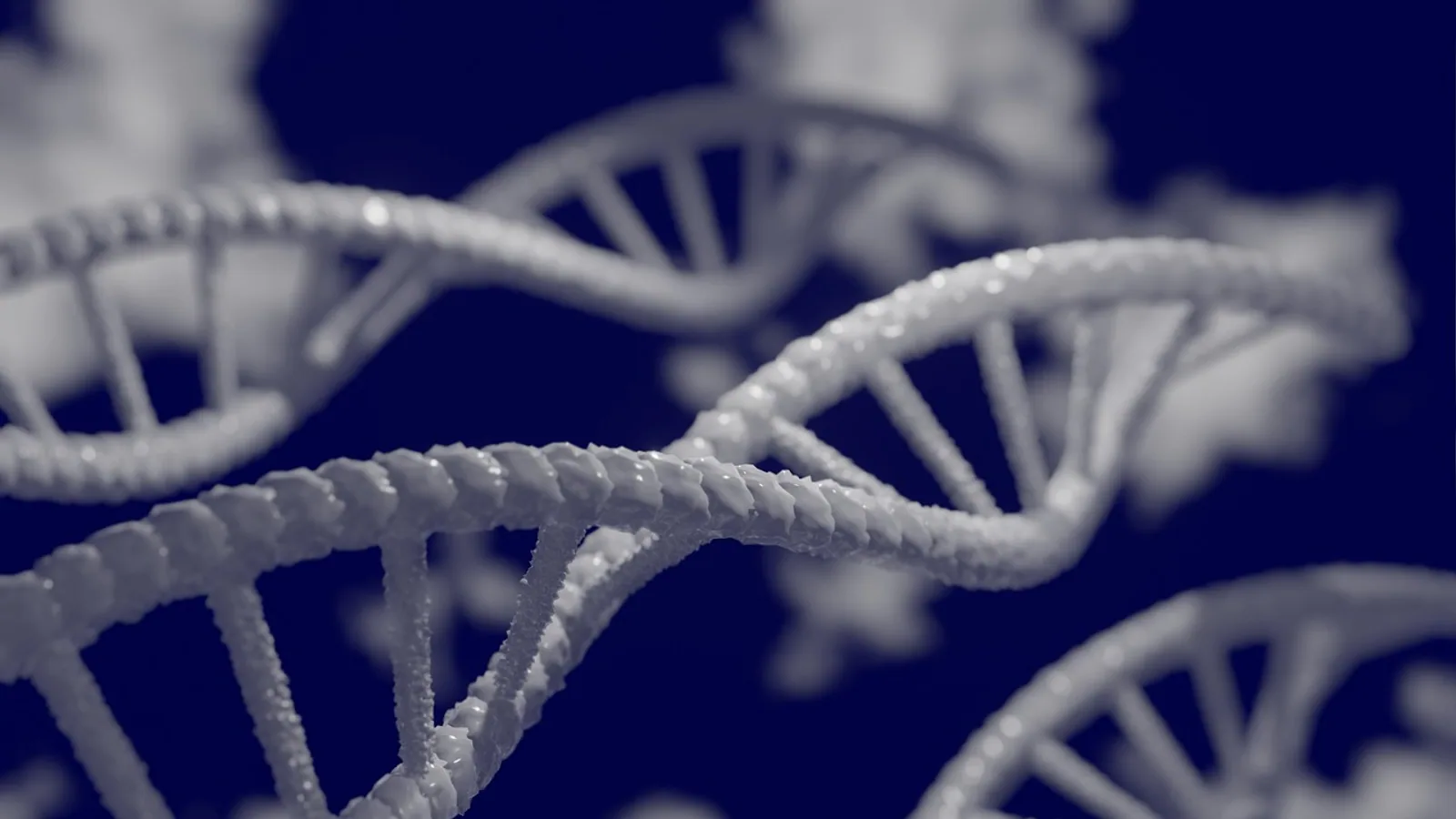 Polypeptide Bond: Peptide Bond Formation Explained